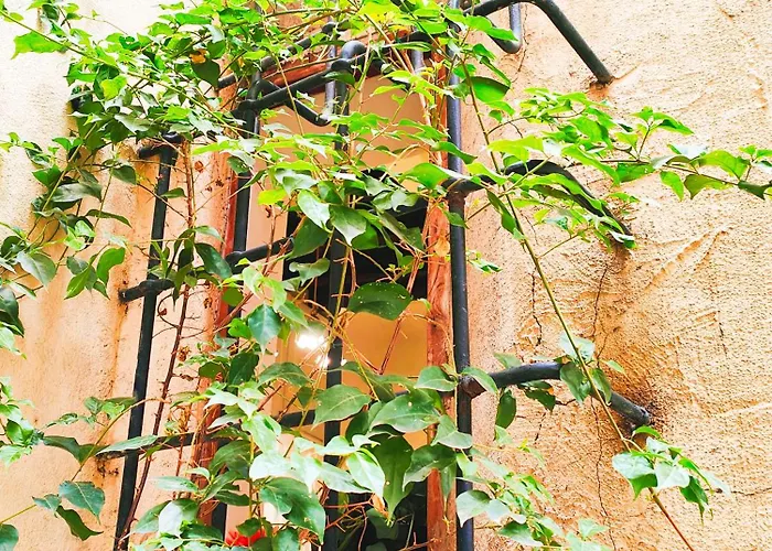 Vetrina 24 Roma